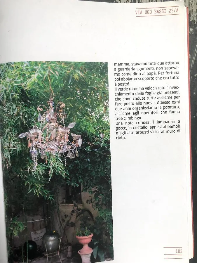 L'Ape Regina Lägenhet Ferrara