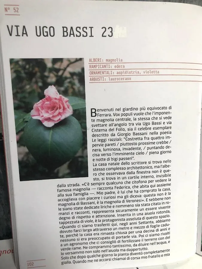 L'Ape Regina Lägenhet Ferrara 0*,