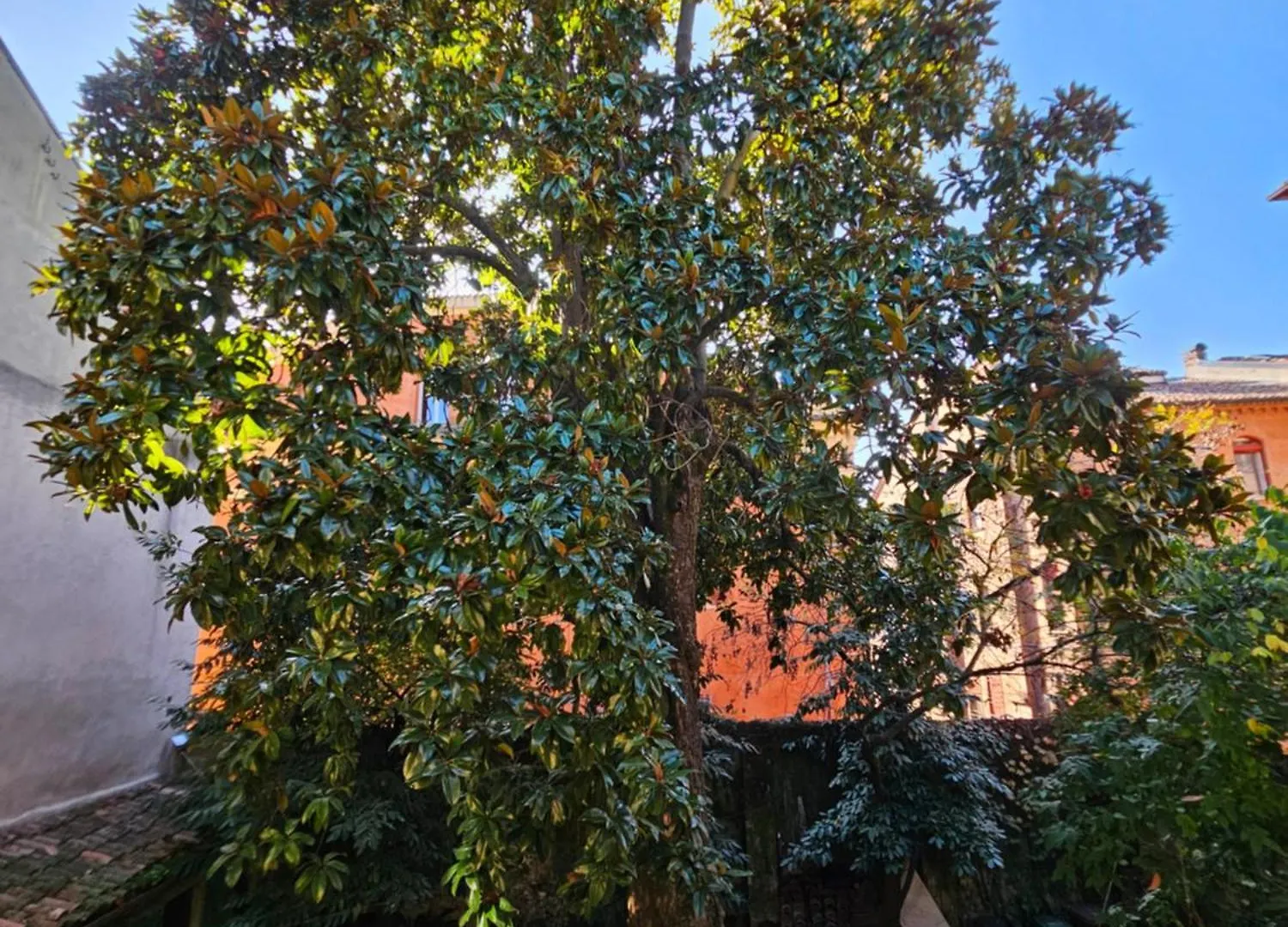 L'Ape Regina Lägenhet Ferrara 0*,  Italien